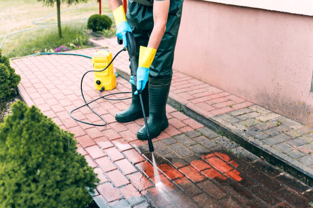 Best Driveway Pressure Washing  in Willow Springs, MO